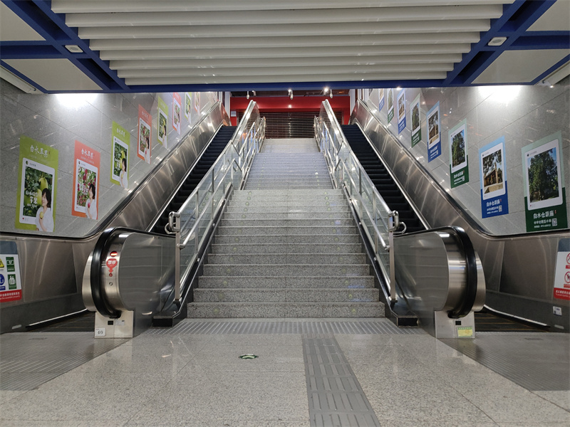 白水蘋(píng)果-倉(cāng)頡廟