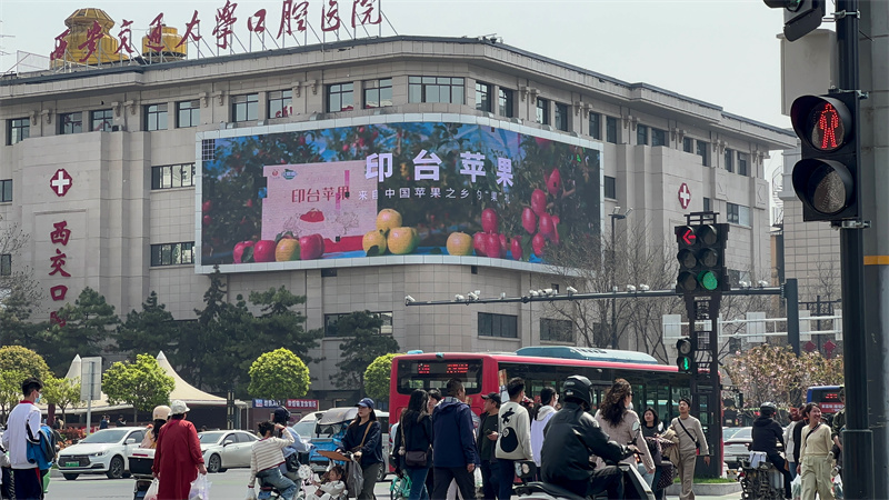 印臺(tái)蘋(píng)果